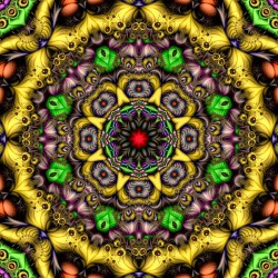 Monkey Mandala